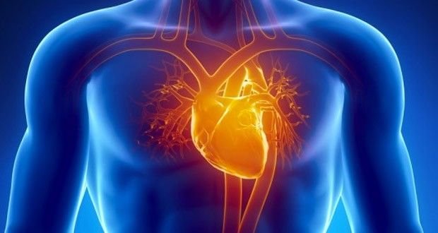 Quels sont les effets de boire de l&rsquo;eau à jeun?