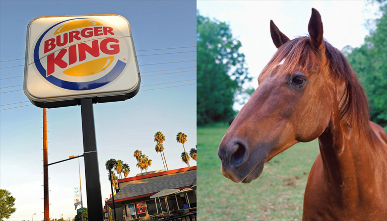 Burger King a confirmé les rumeurs et admis avoir utilisé de la viande de cheval dans les hamburgers