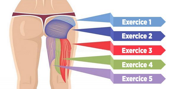 5 exercices puissants pour renforcer les fesses, améliorer la posture et brûler les graisses!