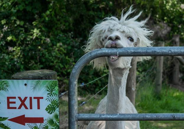 Pourquoi est-ce une (grosse) erreur de recevoir des gens pour le dîner à la maison!