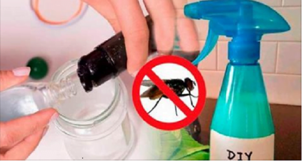 Utilisez ce produit fait maison, dites au revoir et volez pour toujours!