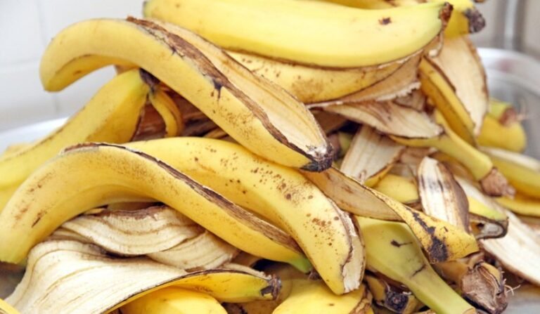 Ne jetez jamais la peau de banane … Quelle belle chose à faire avec!