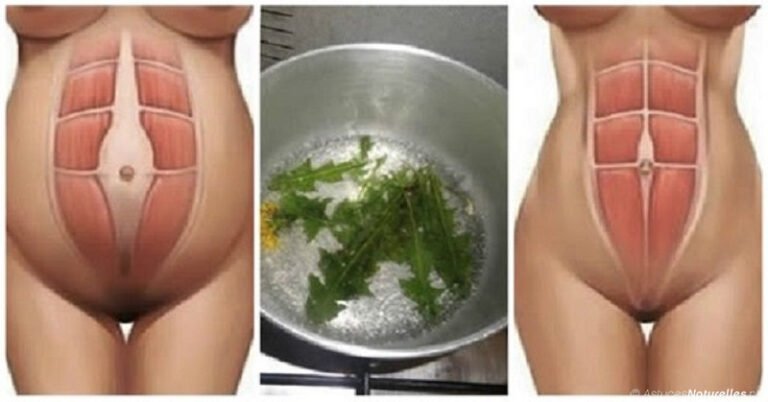 Ce jus étonnant peut éliminer la graisse viscérale en seulement 7 jours!