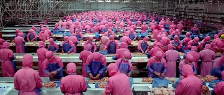 La courte vidéo de 6 minutes vous laissera sans voix!