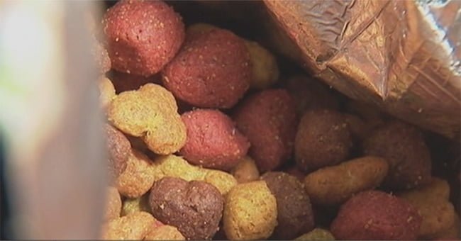 La marque Kibble « Purina » a été poursuivie pour avoir tué 4000 chiens avec de la nourriture « toxique »!