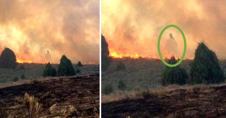 Lorsque le père et le fils ont attendu l&rsquo;incendie pour détruire leurs maisons, quelque chose dans l&rsquo;incendie les a incités à retirer le téléphone.