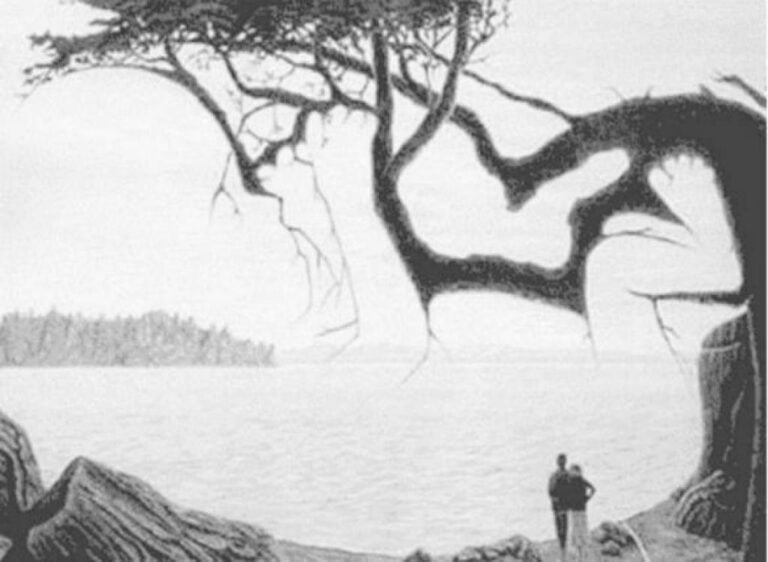 Un tiers des personnes peuvent trouver la personne cachée dans cette image. Êtes-vous capable?