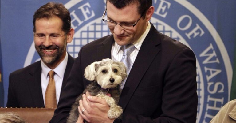 important! La cruauté envers les animaux est désormais enregistrée comme un abus sexuel