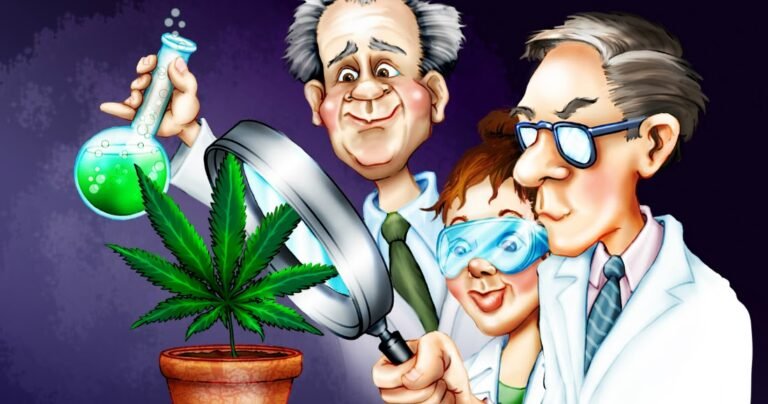 Partagez-le! Aujourd&rsquo;hui, plus de 100 études scientifiques ont officiellement montré que le cannabis peut tuer le cancer!