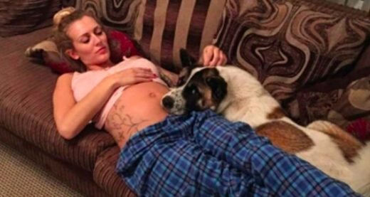 La femme enceinte ne comprend pas pourquoi son chien n&rsquo;arrête pas d&rsquo;aboyer. Elle n&rsquo;a pas réalisé qu&rsquo;elle essayait de la sauver