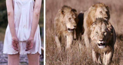 La fillette de 12 ans a été kidnappée et battue par un homme, puis le lion l&rsquo;a entourée et a fait l&rsquo;inimaginable