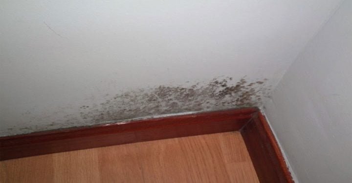 3 façons d’éliminer rapidement et définitivement l’humidité intérieure