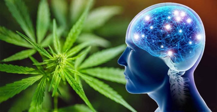 La marijuana peut aider le cerveau à se régénérer et à prévenir la démence