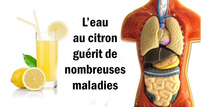 leau-au-citron-fait-maigrir-eloigne-les-maladies-reduit-les-douleurs-et-bien-plus-encore