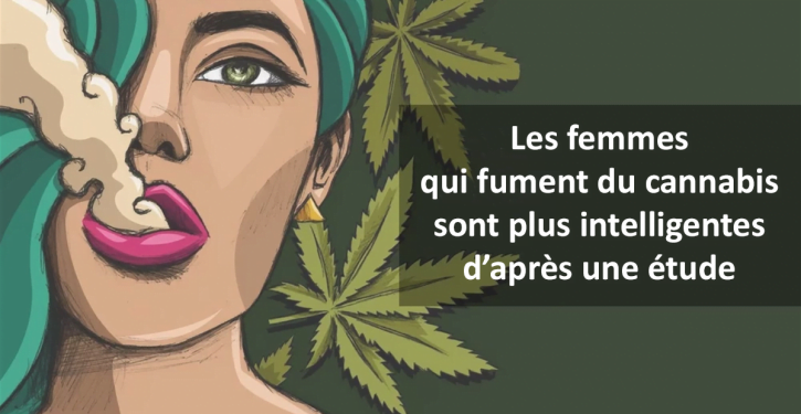 Des études ont montré que les femmes qui fument de la marijuana sont plus intelligentes