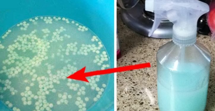 Elle sent toujours fraîche et agréable à la maison. Les gens ne savent pas pourquoi. C’est le secret