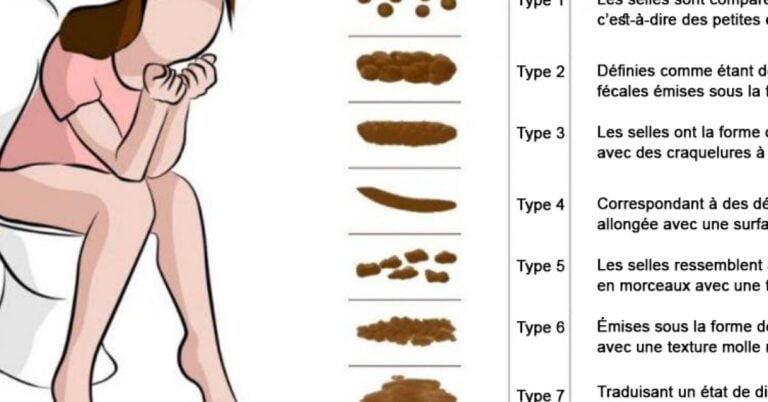 Après avoir utilisé les toilettes, il suffit de regarder les toilettes pour connaître votre état de santé!