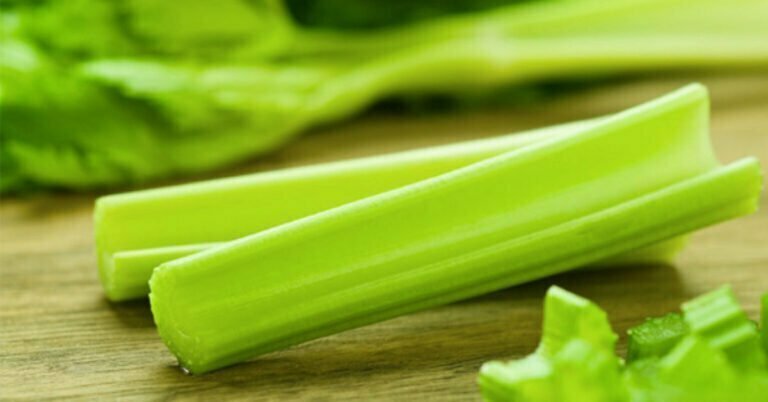 C&rsquo;est ce qui se passe lorsque vous mangez du céleri tous les jours pendant une semaine
