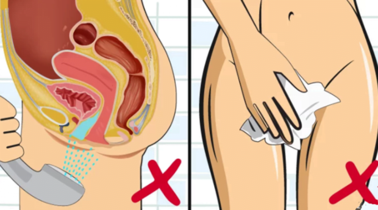 Quatre choses sur le vagin