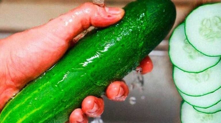 C’est ce qui arrive à votre corps après avoir mangé du concombre 3 fois par jour