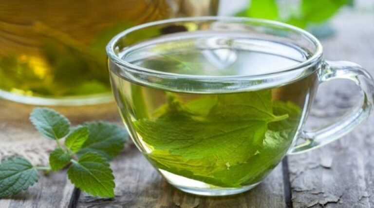 Recette de thé à l’origan pour guérir les maux de gorge, la sinusite et les infections