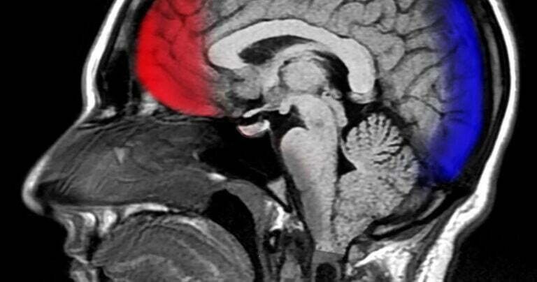 La Neuroscience Montre La Gratitude Recâblera Littéralement Votre Cerveau Pour Être Plus Heureux