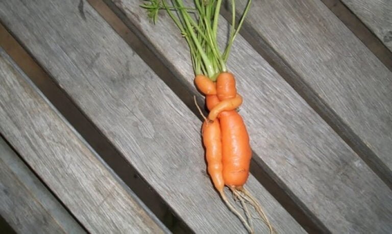 6 Habitudes Communes Que Partagent Les Personnes Ayant Des Problèmes De Codépendance