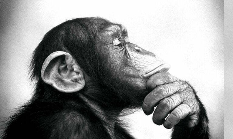 11 Choses Que Vous N’êtes Pas Censé Savoir