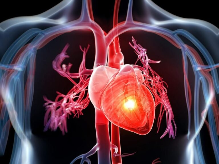 Les Fours À Micro-Ondes Ne Se Contentent Pas De Nuire À Vos Aliments, Ils Nuisent À Votre Cœur