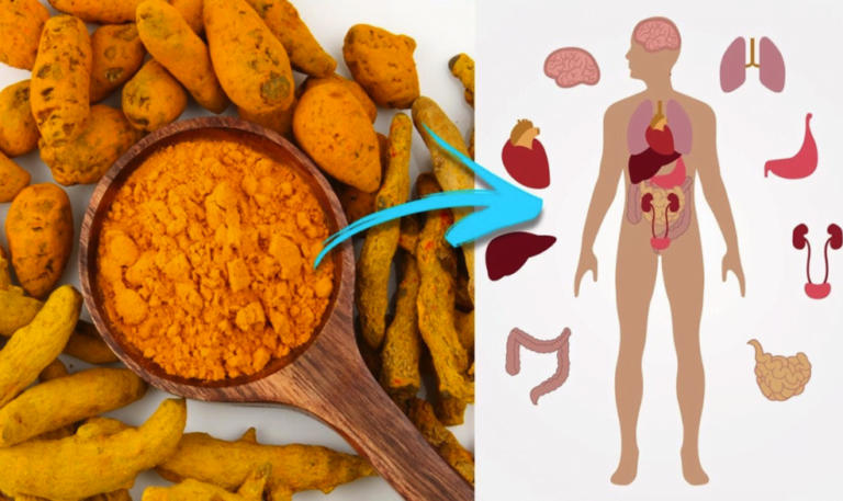 8 Façons Dont Votre Corps Se Transforme Lorsque Vous Ingérez Du Curcuma Quotidiennement