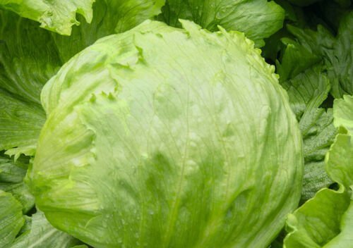 Pourquoi la laitue iceberg est bonne pour vous