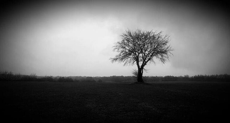 Ténèbres hivernales, dépression saisonnière
