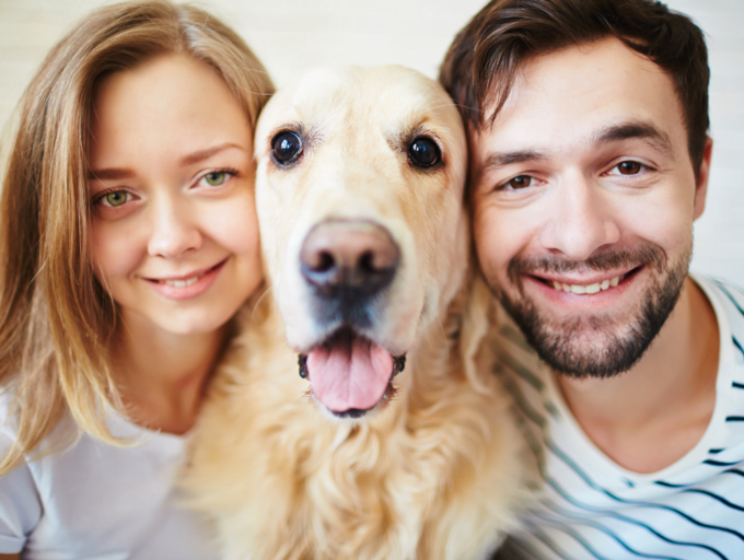 Raisons pour lesquelles les couples avec animaux sont les plus heureux