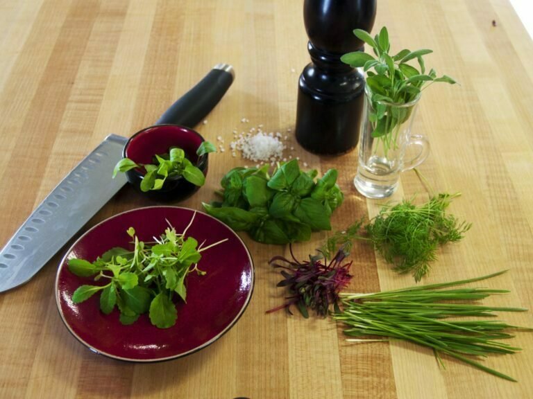 4 herbes qui renforcent l&rsquo;immunité pour combattre naturellement les infections