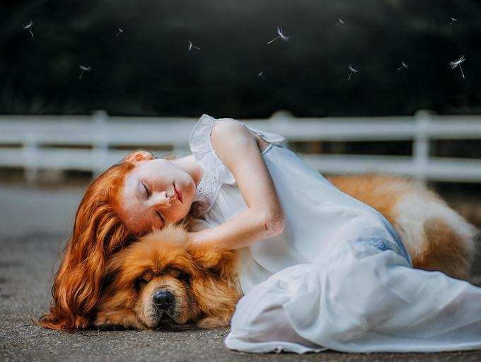 7 choses que votre animal de compagnie décédé voudrait que vous sachiez