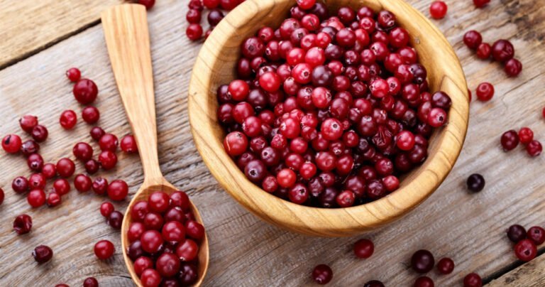 Une étude révèle comment la consommation quotidienne de canneberges aide à améliorer la santé cardiovasculaire