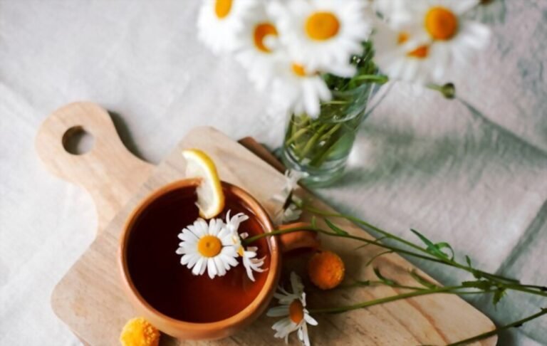 Les 10 meilleures tisane pour éliminer l’acide urique naturellement