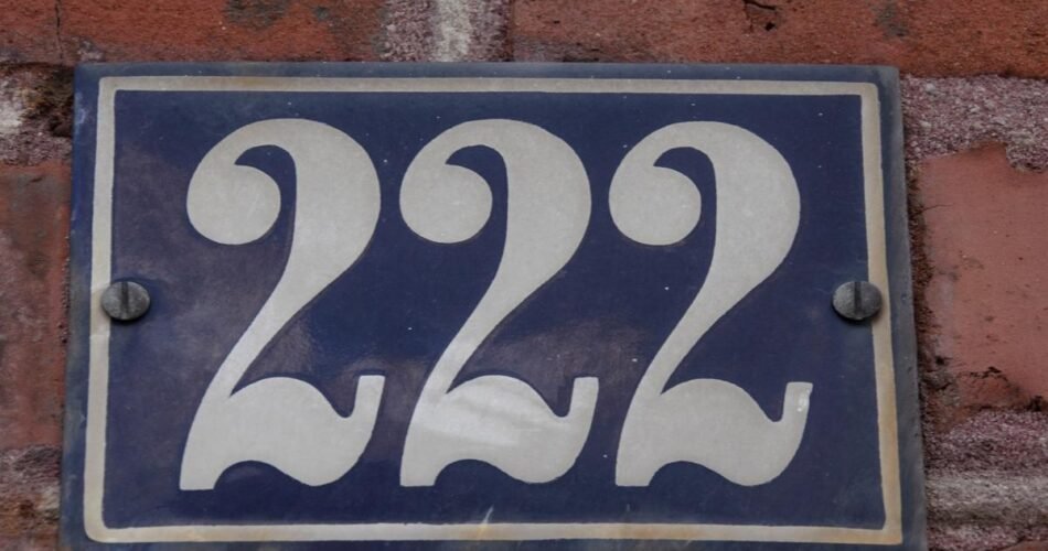 222 signification